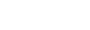 Google-300x101